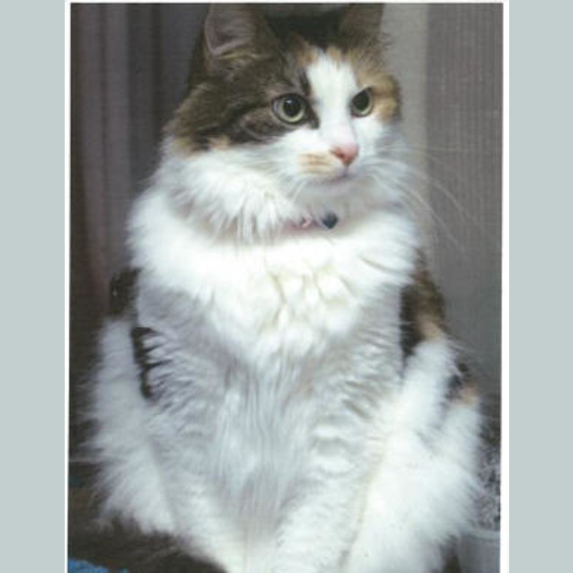 Photo of Silvie   Ftgh