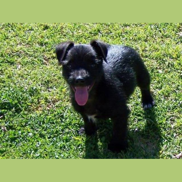 Photo of Alex Adopted
