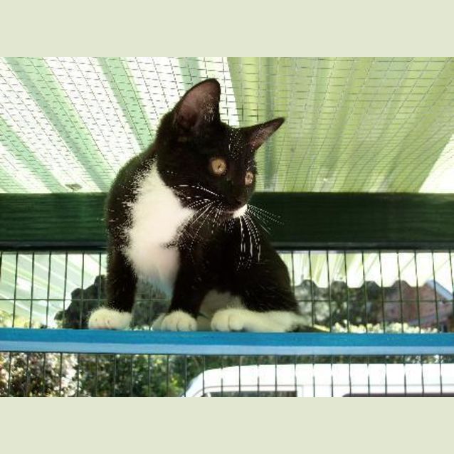 Photo of Princess