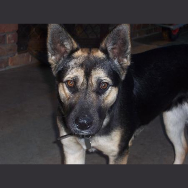Photo of Sally