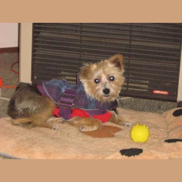 Photo of Candy