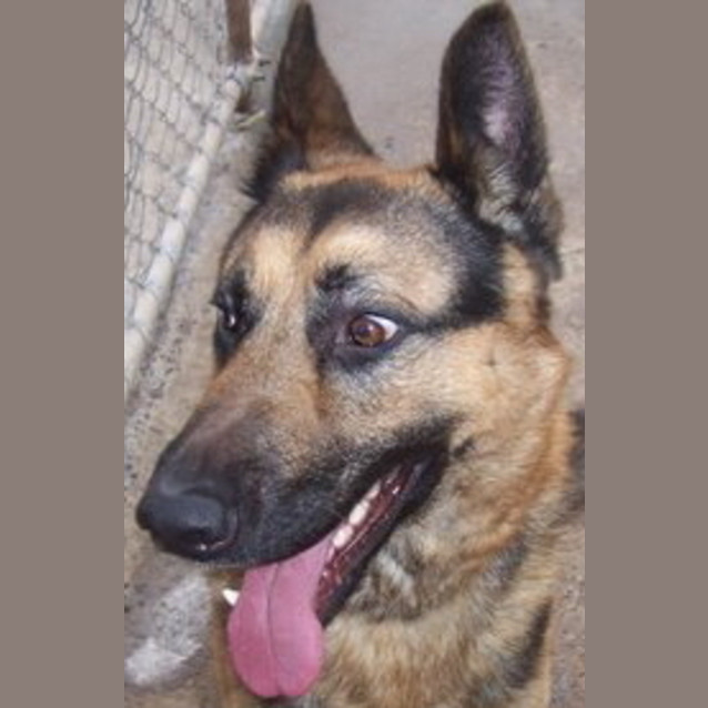Photo of Max