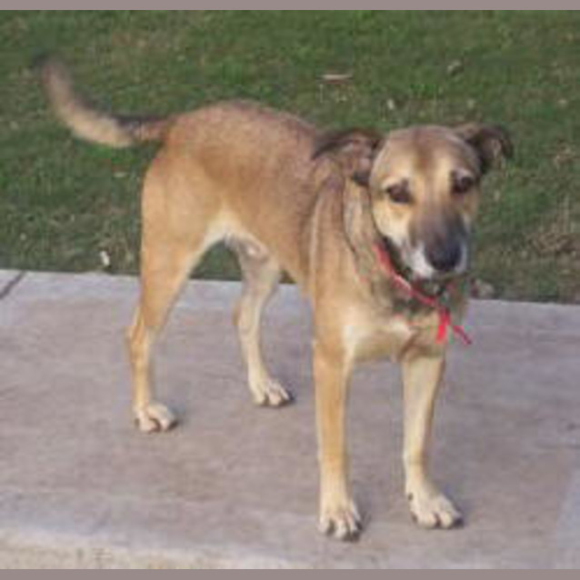 Photo of Duke Is Trying A New Home!!