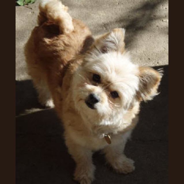 Photo of Edwina