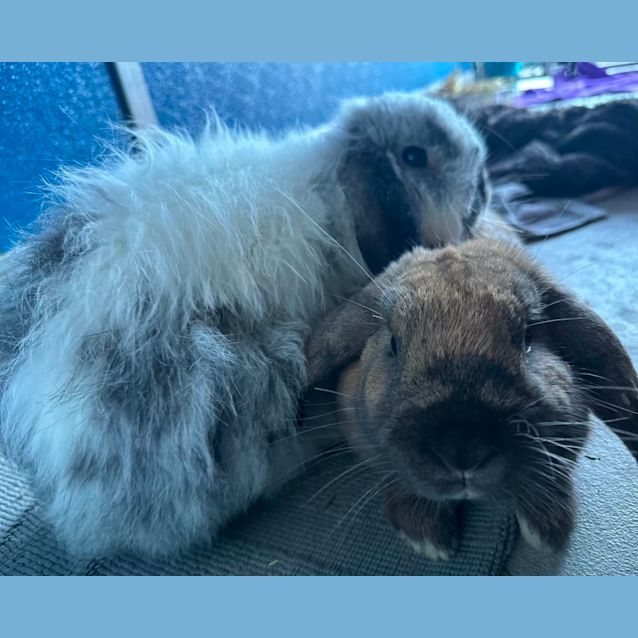 Photo of Snugz & Bugz