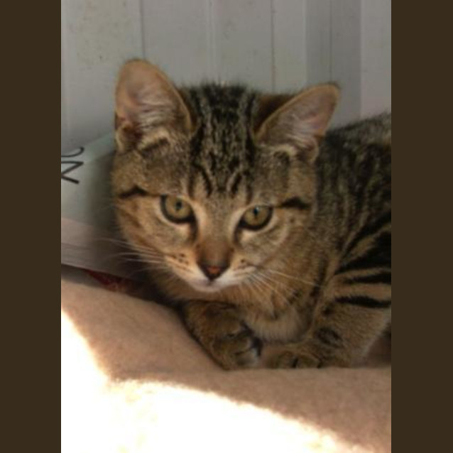 Photo of Missy