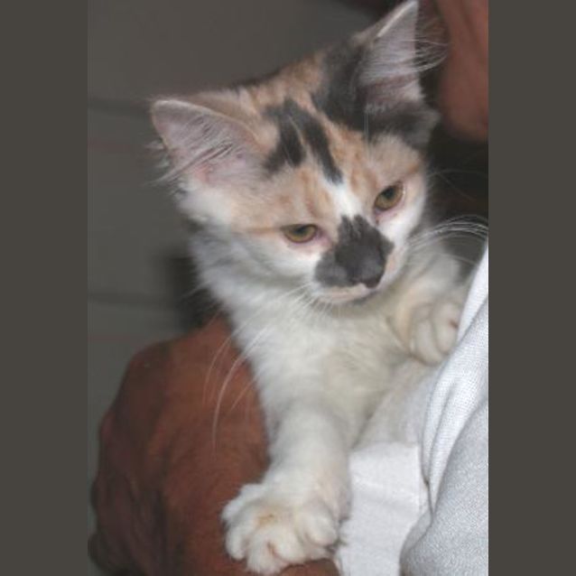 Photo of Sonja