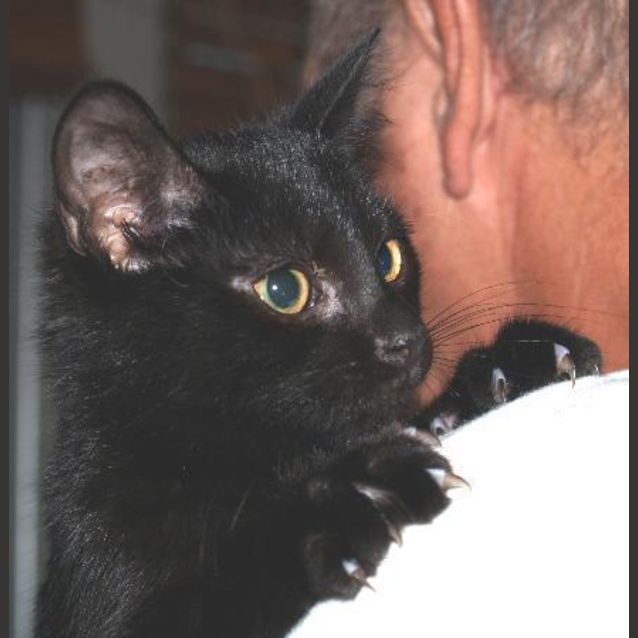 Photo of Ernie