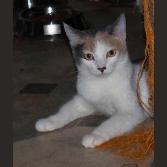 Photo of Elsi
