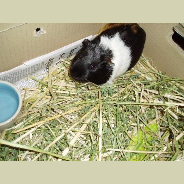 Photo of Tom