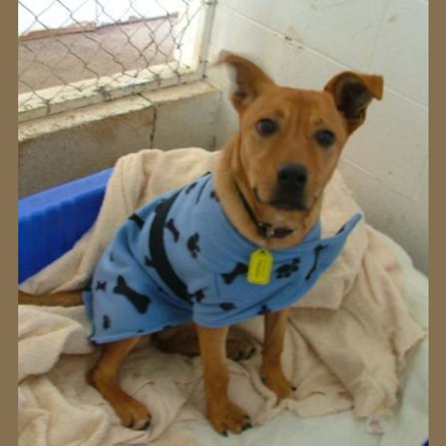 Photo of Trudy