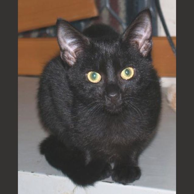 Photo of Issac