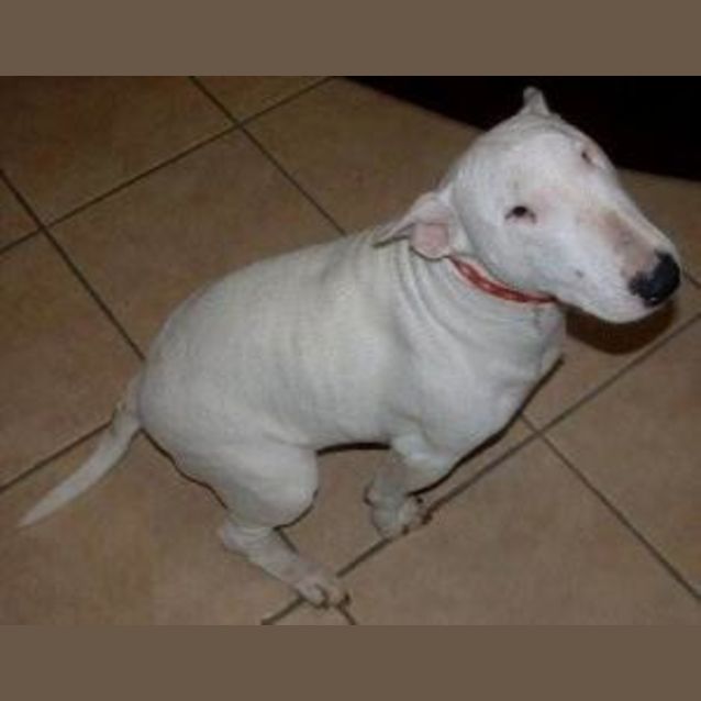 Photo of Peggy