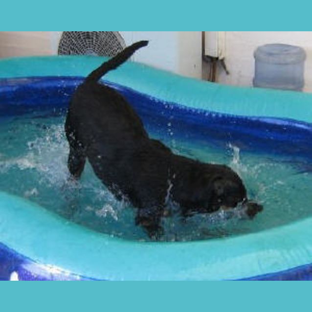 Photo of Zara Is Trying A New Home!!