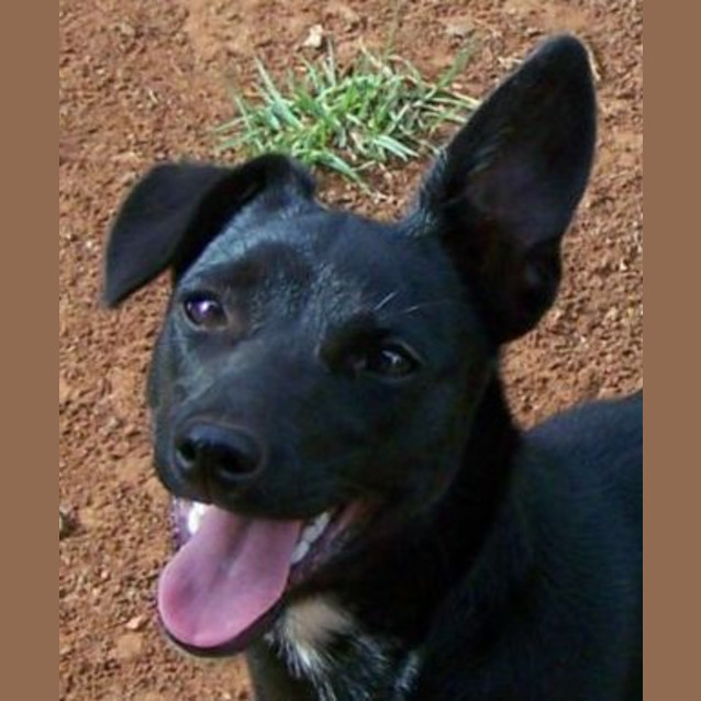 Photo of Betty Adopted