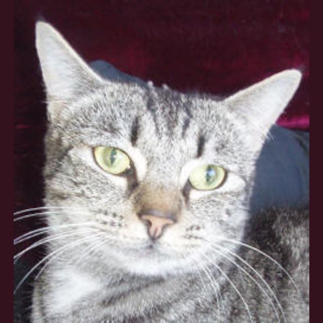 Photo of Emma Is Trying A New Home!!