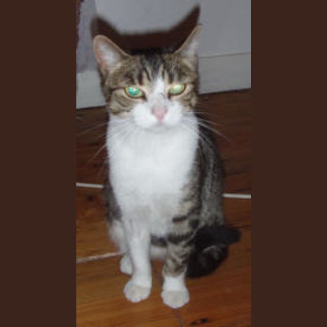 Photo of Lulu Is Trying A New Home!!