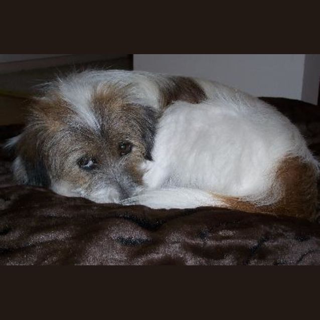 Photo of Sammie