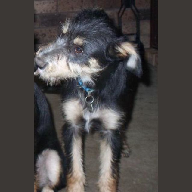 Photo of Meg