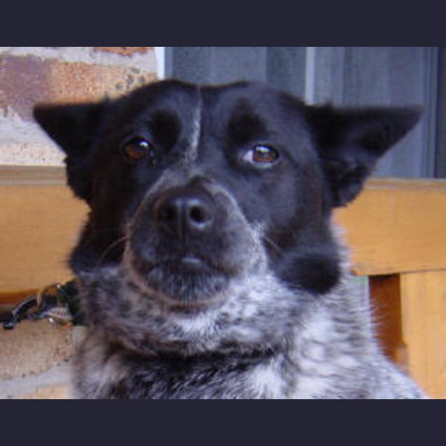 Photo of Neyla