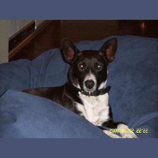 Photo of Spike