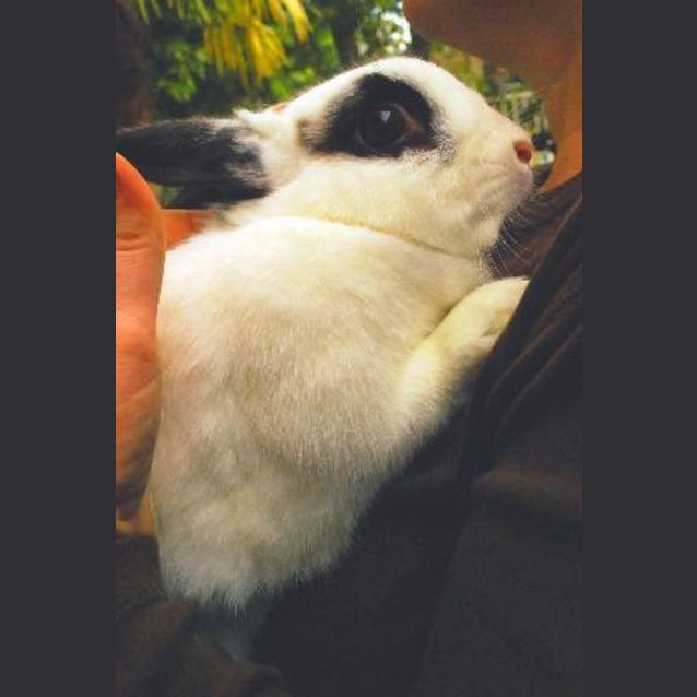 Photo of Cleo