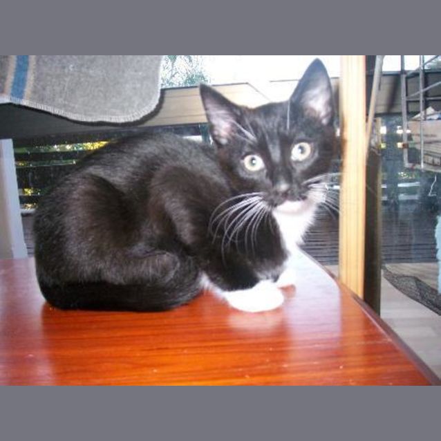 Photo of Charlie