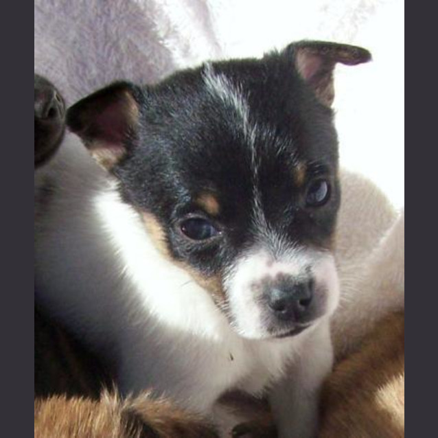 Photo of Esme Adopted