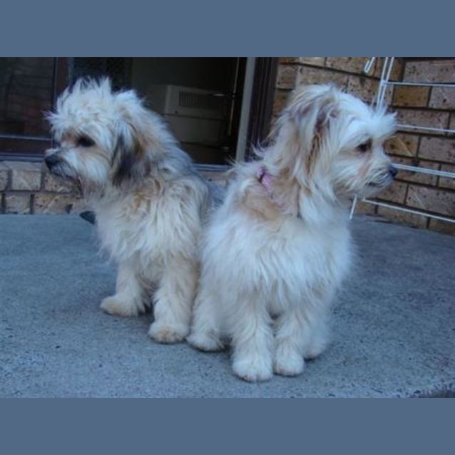 Photo of Bonny