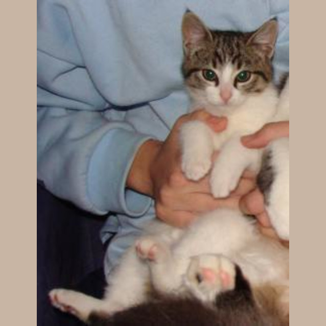 Photo of Sulo