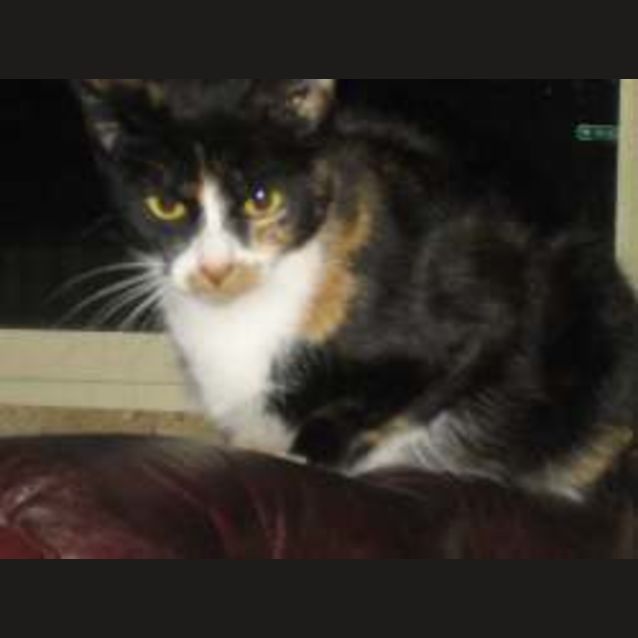 Photo of Sally