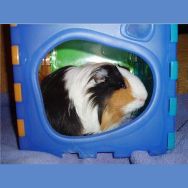 Photo of Anthony