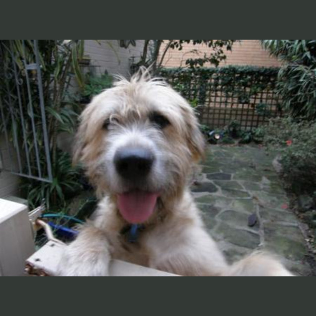 Photo of Bass