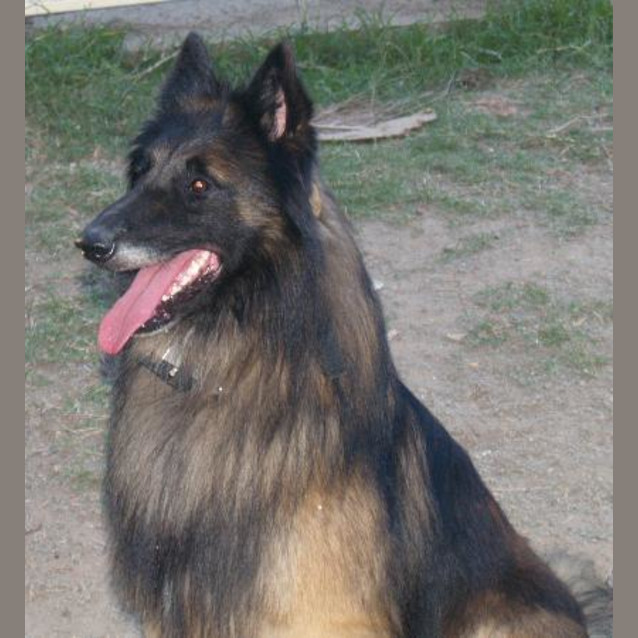 Photo of Hudson
