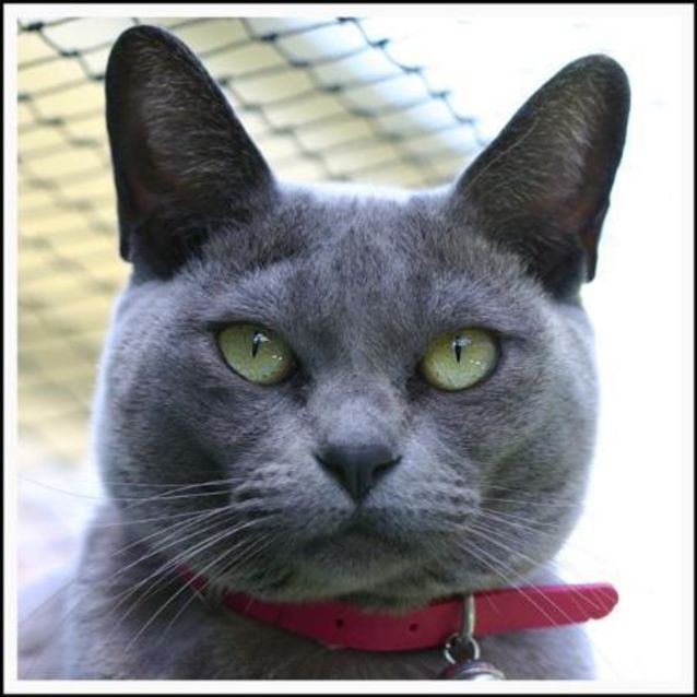 Photo of Ella