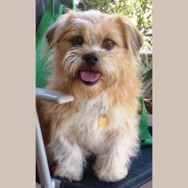 Photo of Matilda