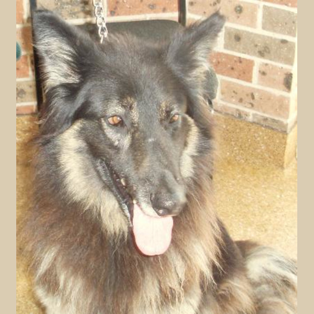 Photo of Sergeant