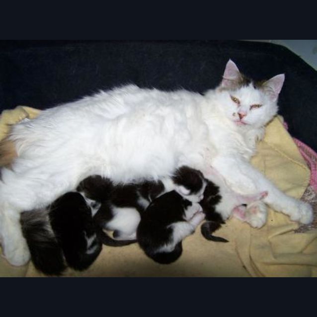 Photo of Grania On Hold