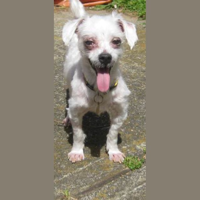 Photo of Dudley