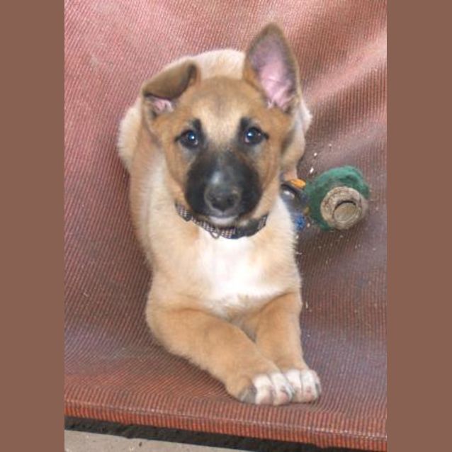 Photo of Buddy