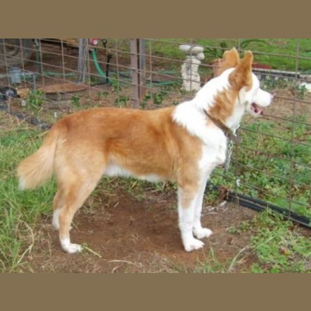 Photo of Sandy