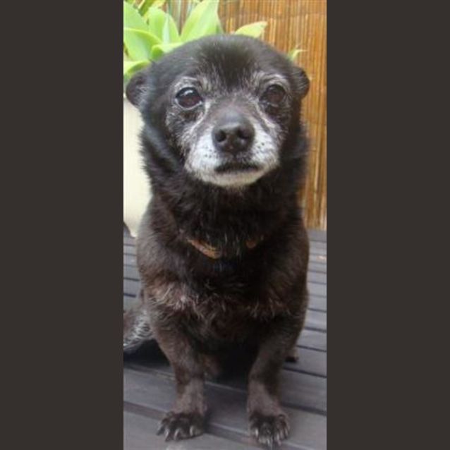 Photo of Elroy Is Trying A New Home!