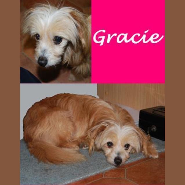 Photo of Sweet Little Gracie