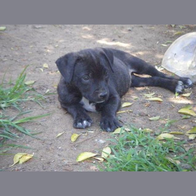 Photo of Ester Is On Hold