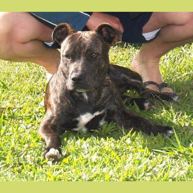 Photo of Jedda