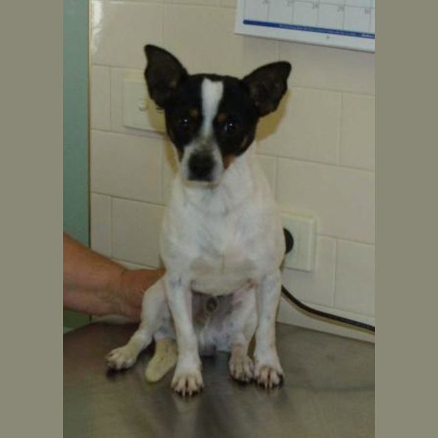 Photo of Maxie
