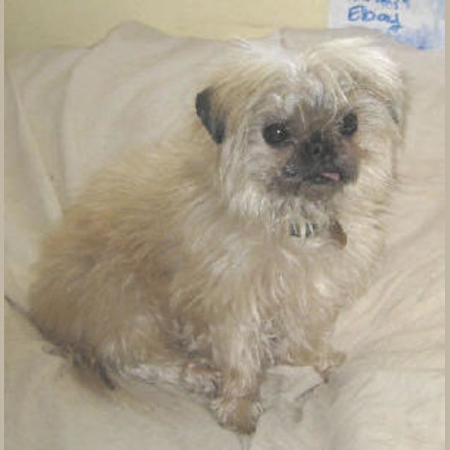 Photo of Ledger   Free Tgh
