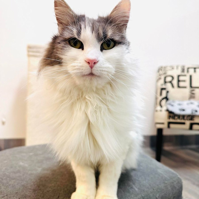 Photo of Pearl   Located In Preston