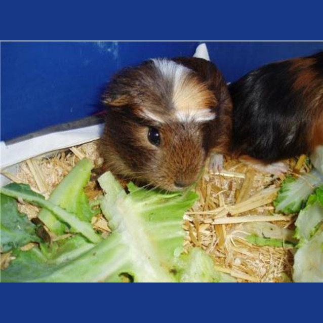 Photo of Micki And Ricki