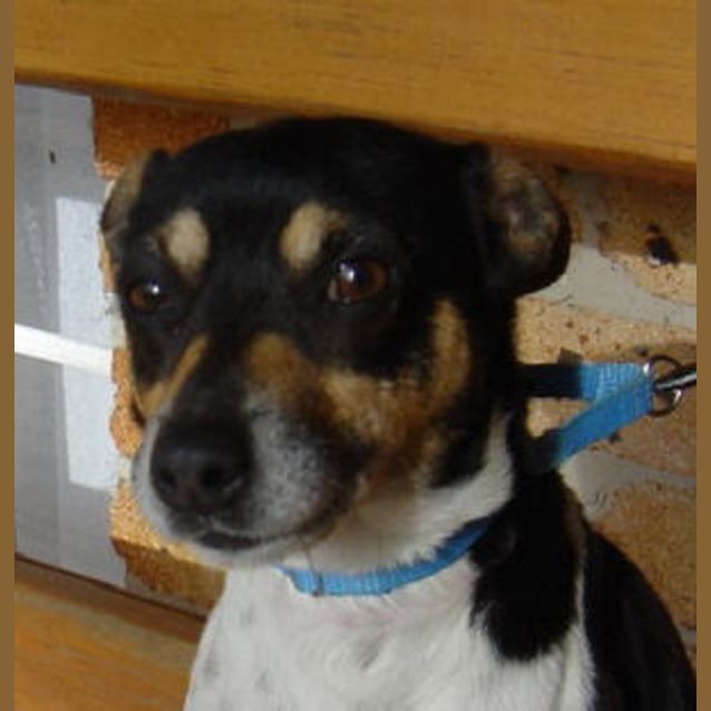 Photo of Mr. Patch